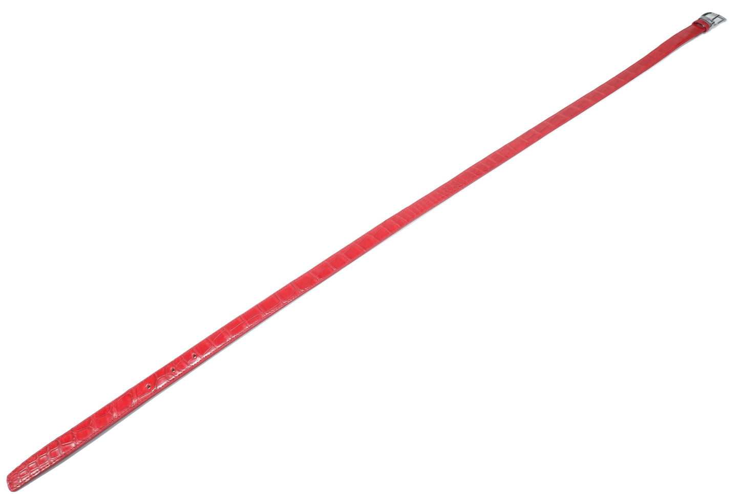 Genuine Crocodile Belly Skin Leather Women's Belt