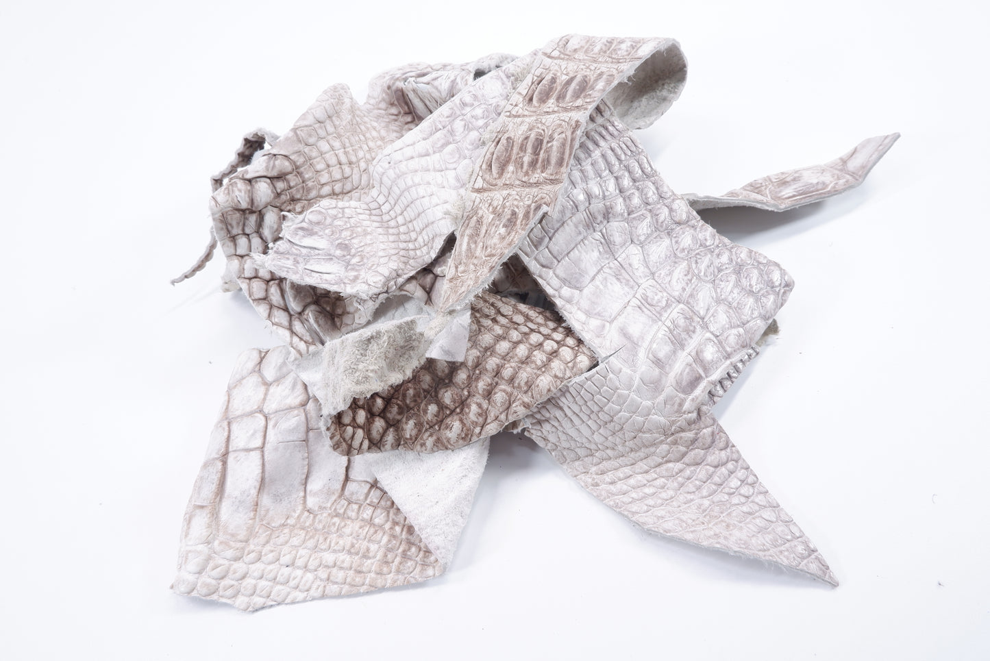 Genuine Crocodile Skin Leather Scraps Hide Pelt 100 grams