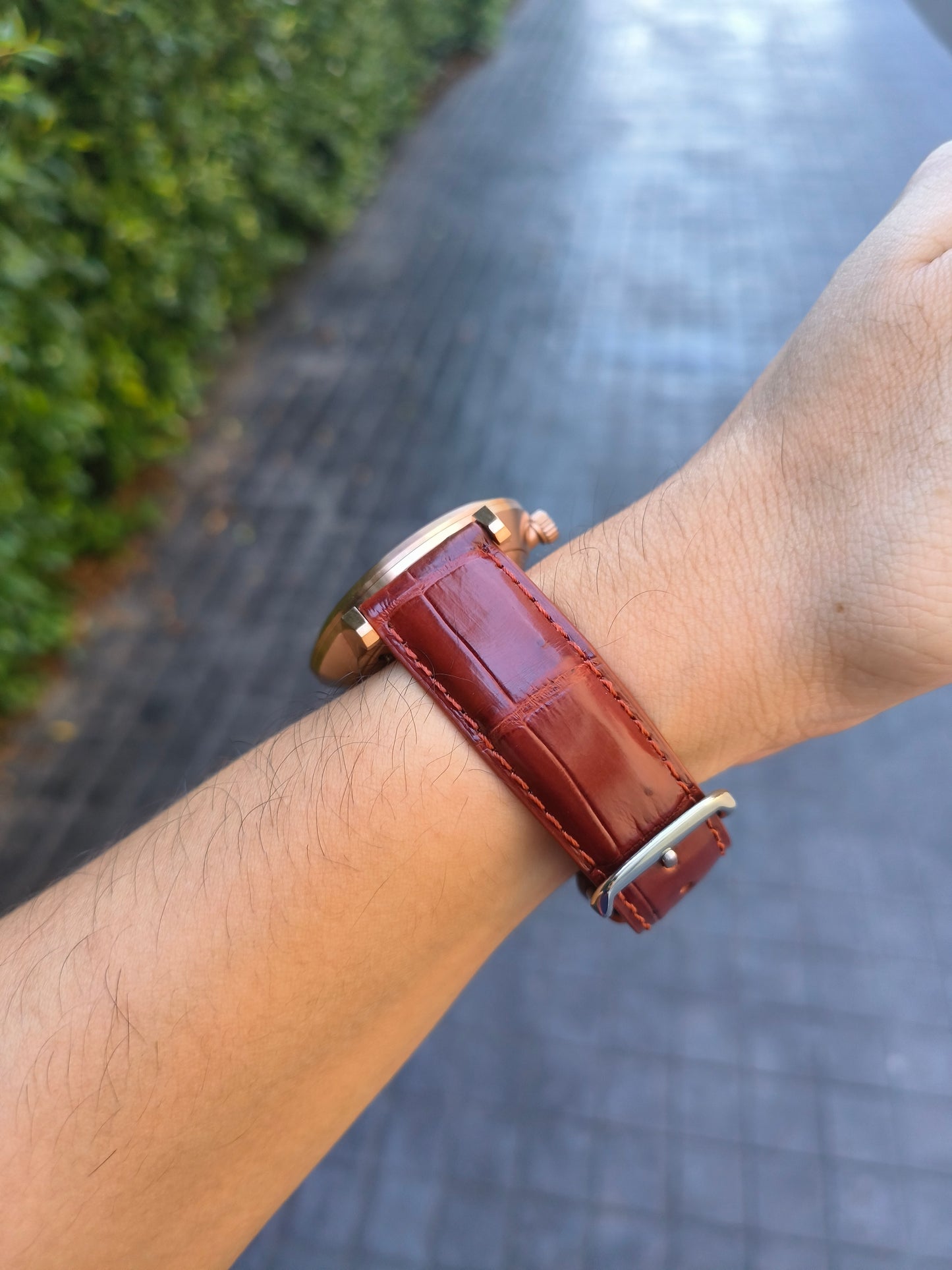 Genuine Crocodile Belly Skin Leather Quick Release Watch Strap Brown Band with Buckle