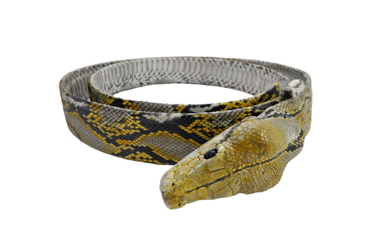 Genuine Python Snake Skin with Head Leather Dress Belt