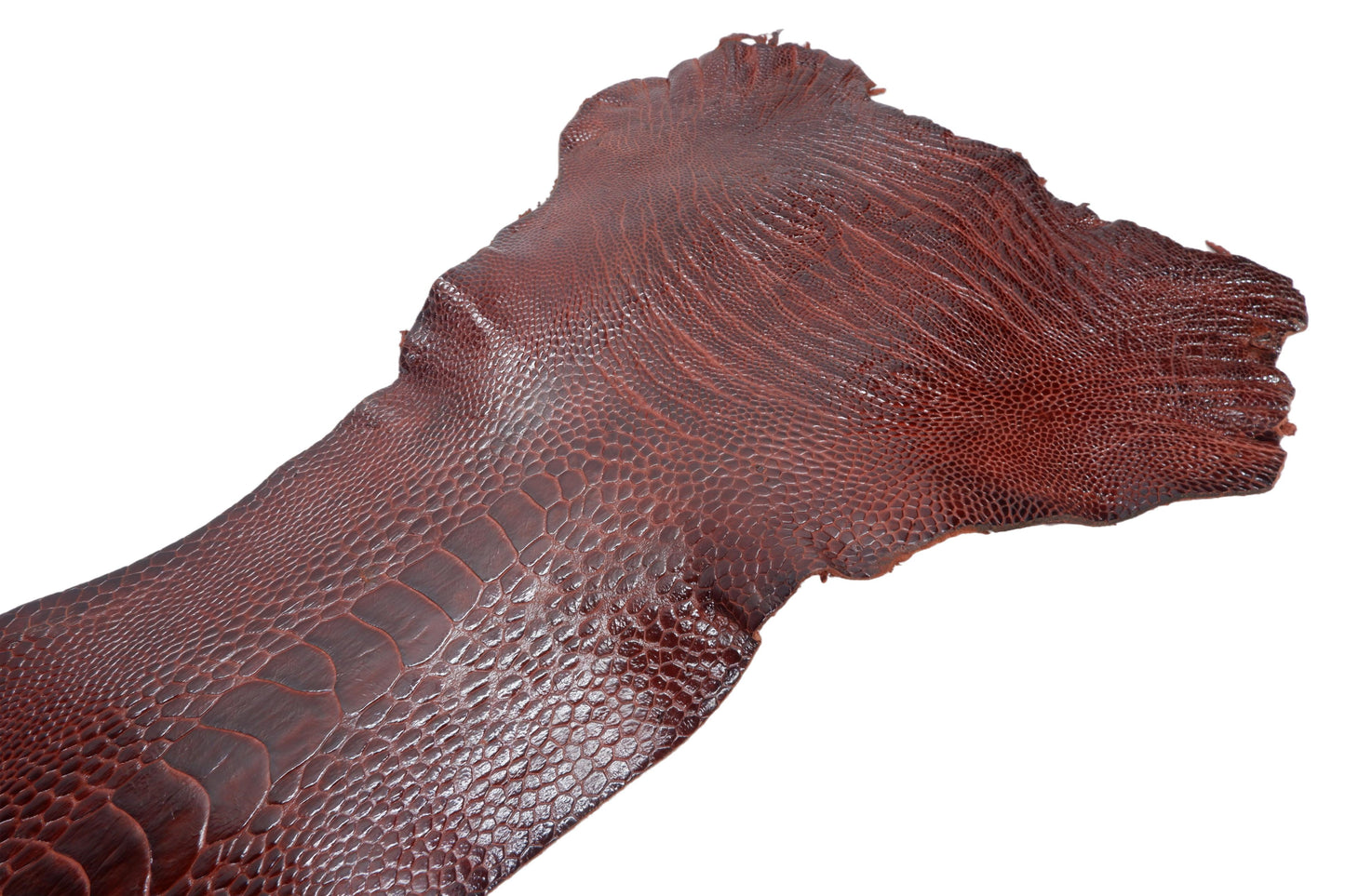 Genuine Ostrich Leg Skin with Claw Leather Hide Pelt