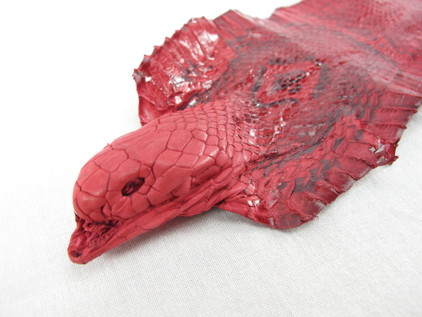 Genuine Cobra Snake Skin with Head Leather Hide Pelt