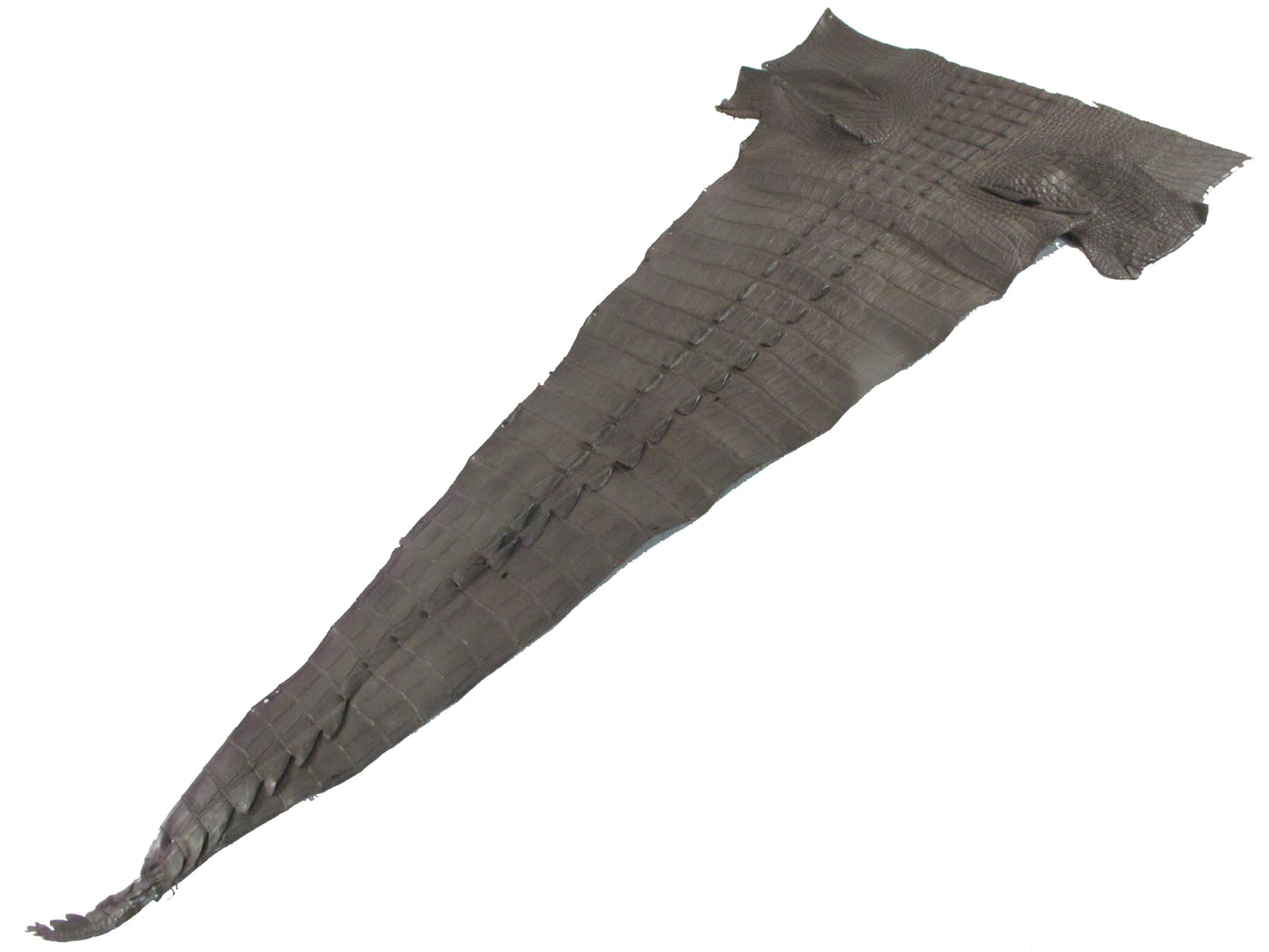 Genuine Crocodile Tail Skin Leather Hide Pelt