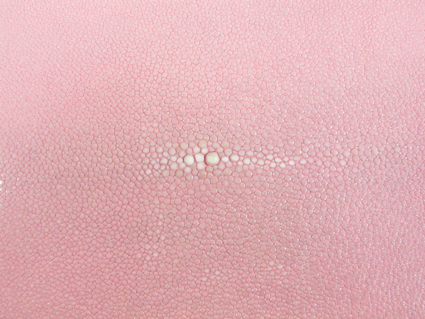 Genuine Polished Stingray Skin Leather Round Shape Hide Pelt Pink