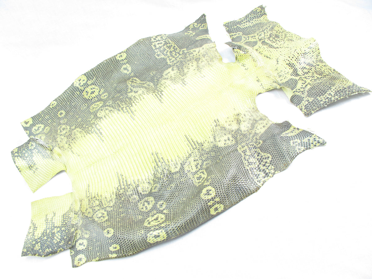 Genuine Water Monitor Lizard Belly Skin Leather Hide Pelt Sulfur Yellow