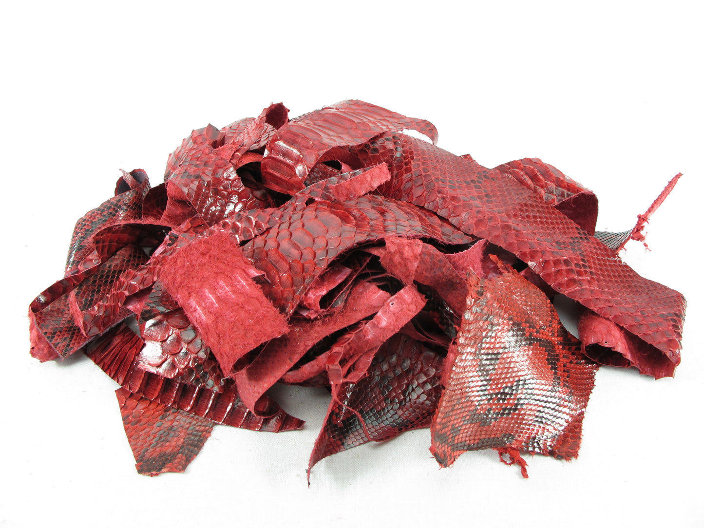 Genuine Python Snake Skin Leather Scraps Hide Pelt 100 grams