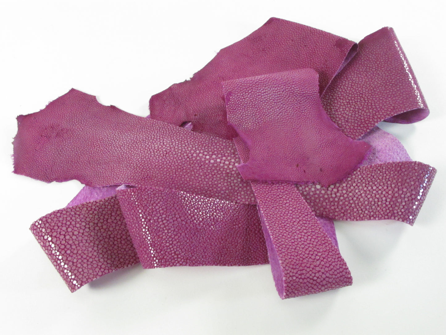 Genuine Polished Stingray Skin Leather Scraps Hide Pelt 100 grams