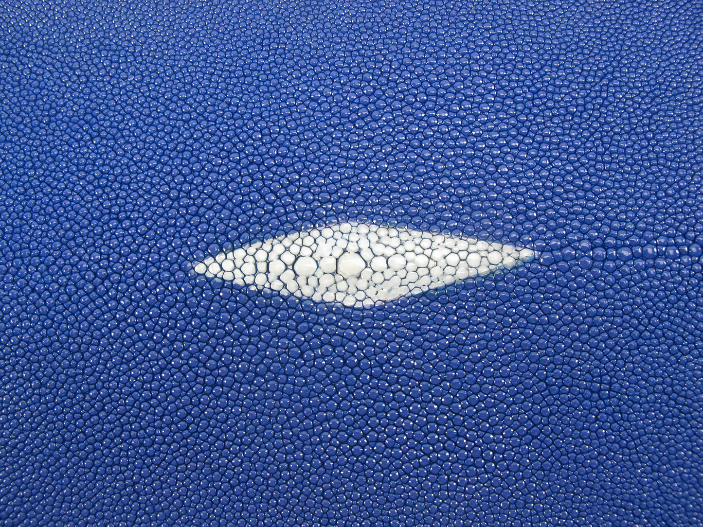 Genuine Stingray Skin Leather Long Shape Hide Pelt Ultramarine Blue