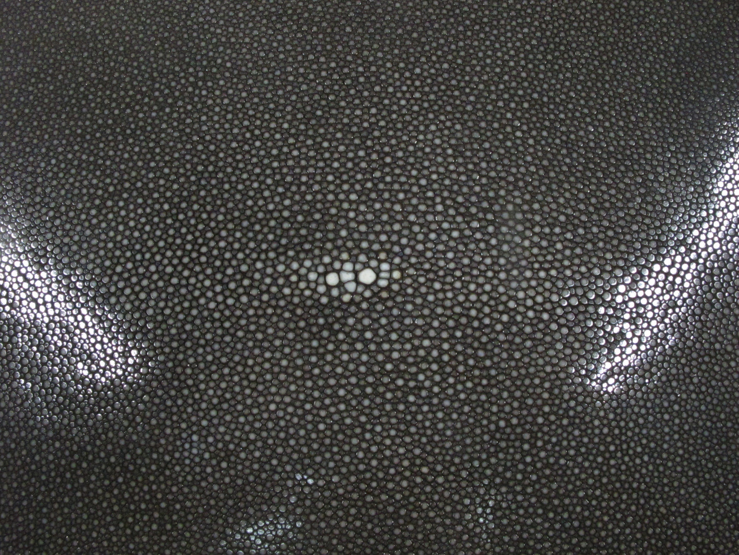 Genuine Polished Stingray Skin Leather Round Shape Hide Pelt Brown