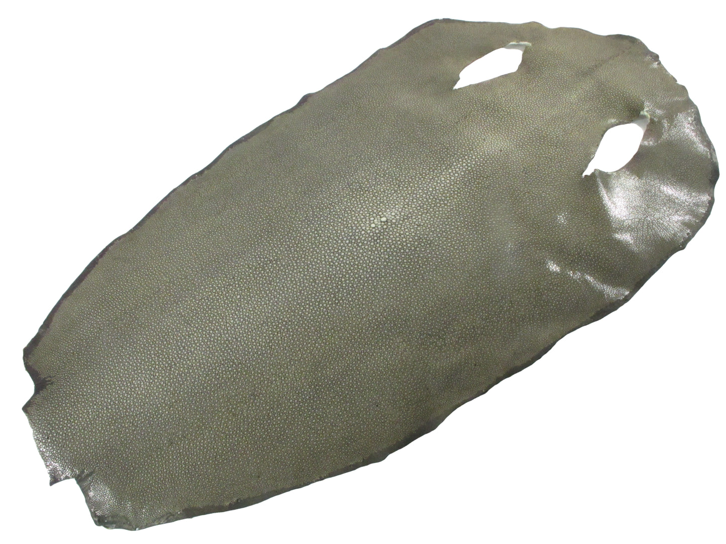 Genuine Polished Stingray Skin Leather Round Shape Hide Pelt Brown