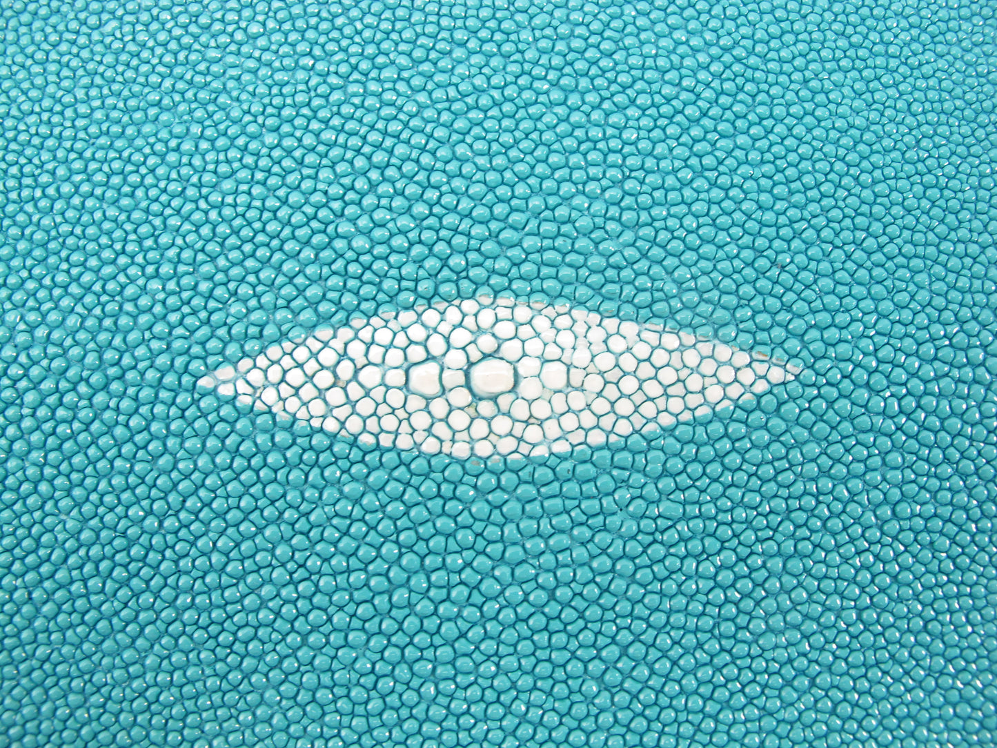 Genuine Stingray Skin Leather Round Shape Hide Pelt Turquoise Blue