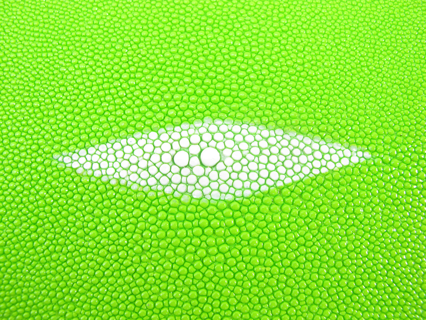 Genuine Stingray Skin Leather Round Shape Hide Pelt Neon Green