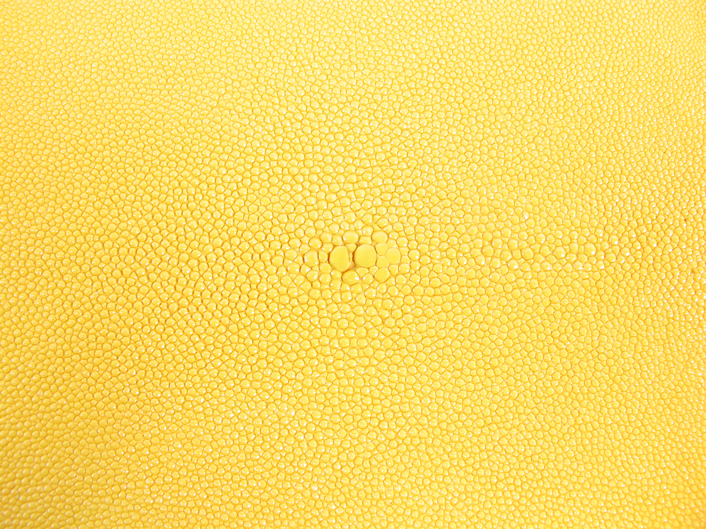 Genuine Stingray Skin Leather Round Shape Hide Pelt Traffic Yellow