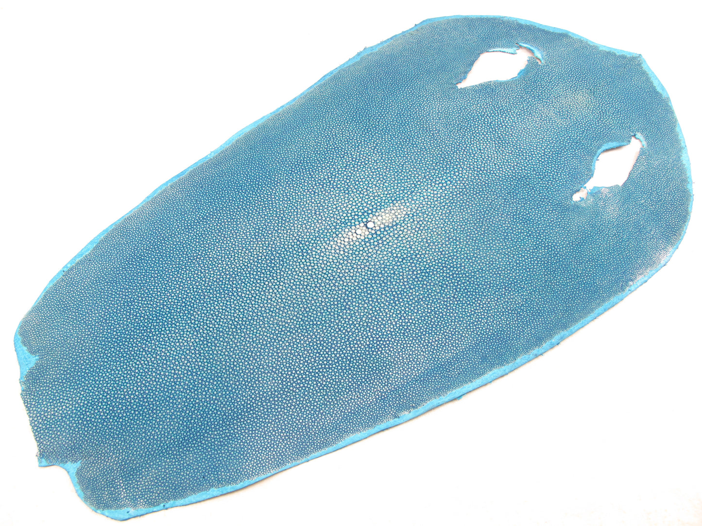 Genuine Polished Stingray Skin Leather Round Shape Hide Pelt Blue