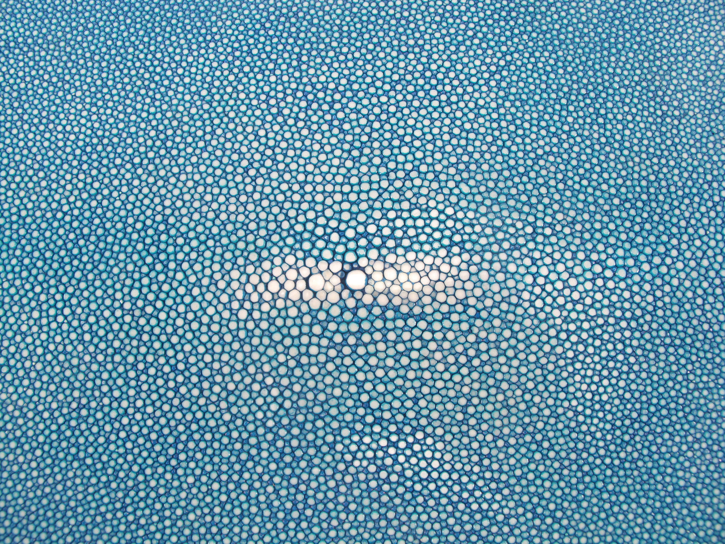 Genuine Polished Stingray Skin Leather Round Shape Hide Pelt Blue