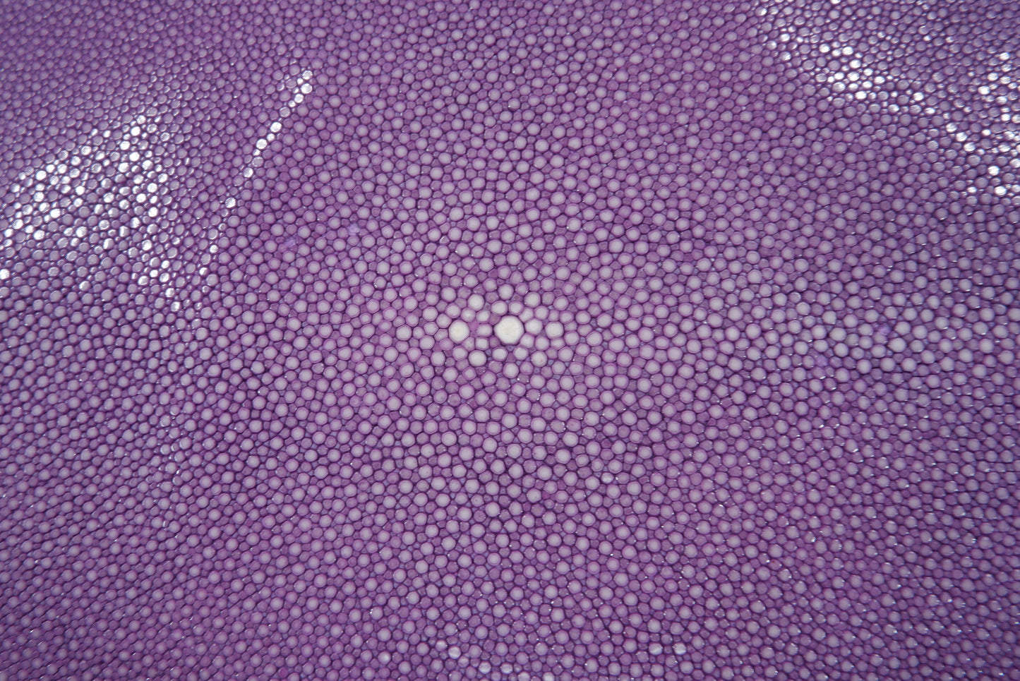 Genuine Polished Stingray Skin Leather Round Shape Hide Pelt Purple