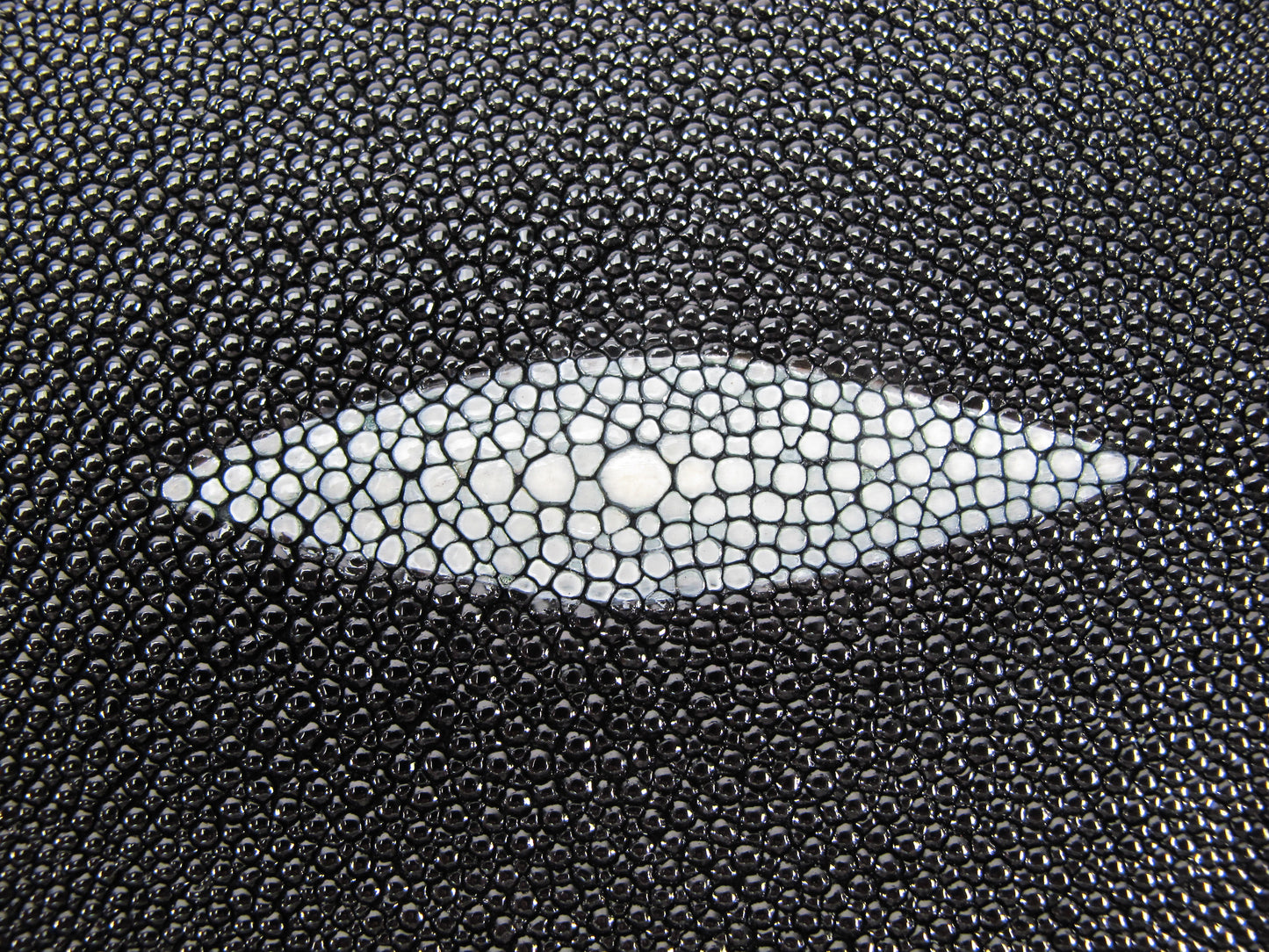 Genuine Stingray Skin Leather Long Shape Hide Pelt Black