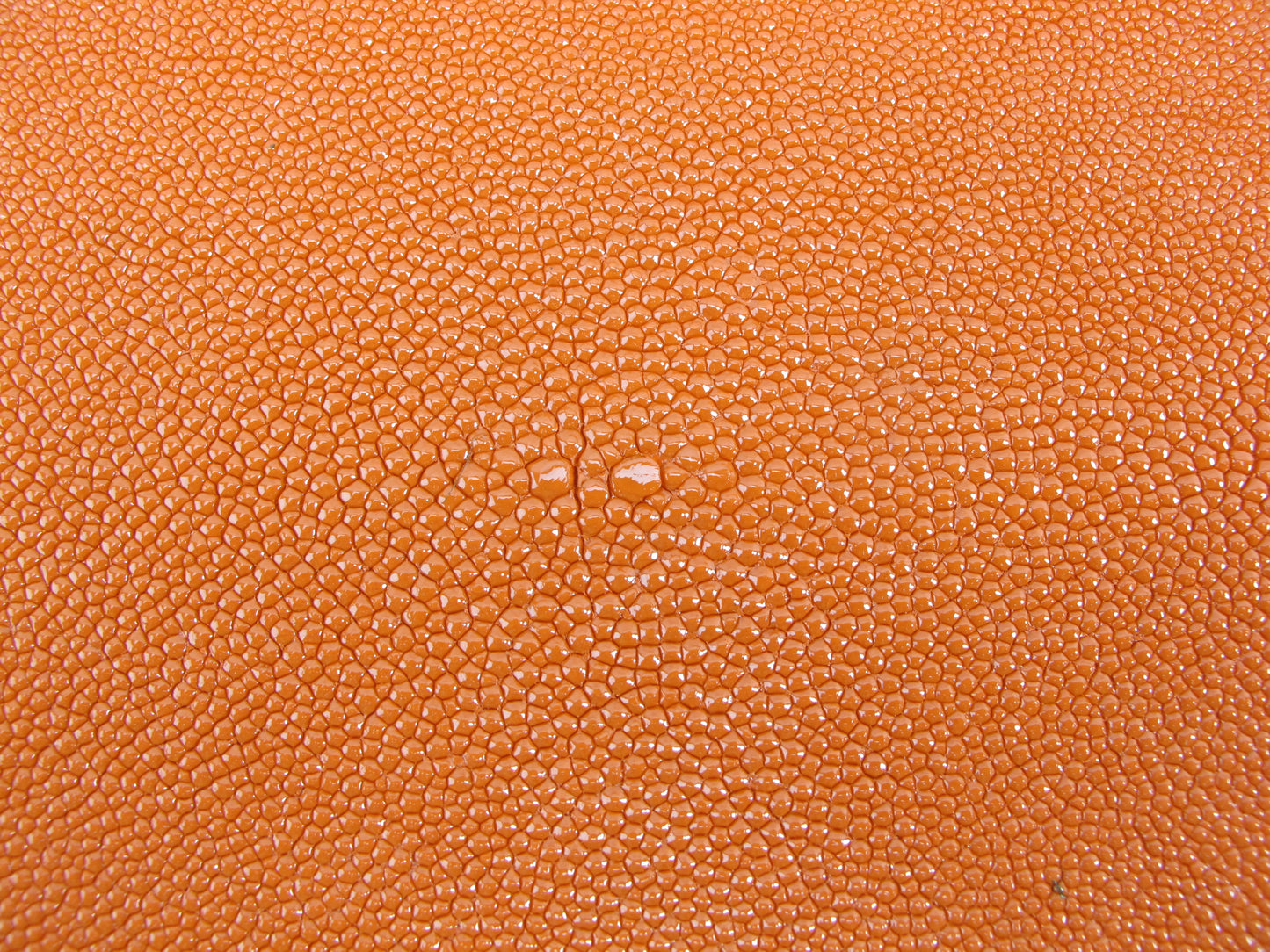 Genuine Stingray Skin Leather Round Shape Hide Pelt Traffic Orange