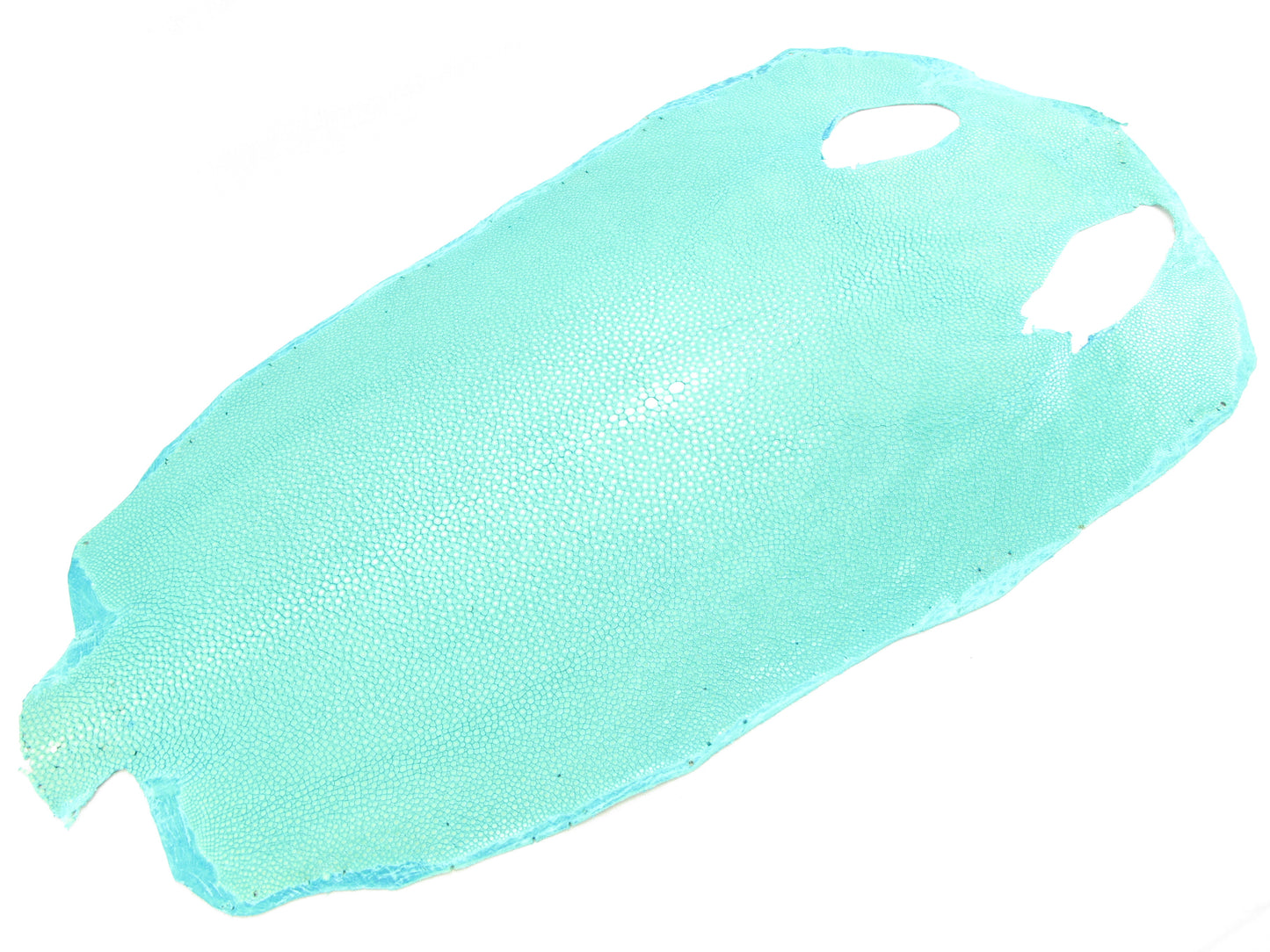 Genuine Polished Stingray Skin Leather Round Shape Hide Pelt Blue