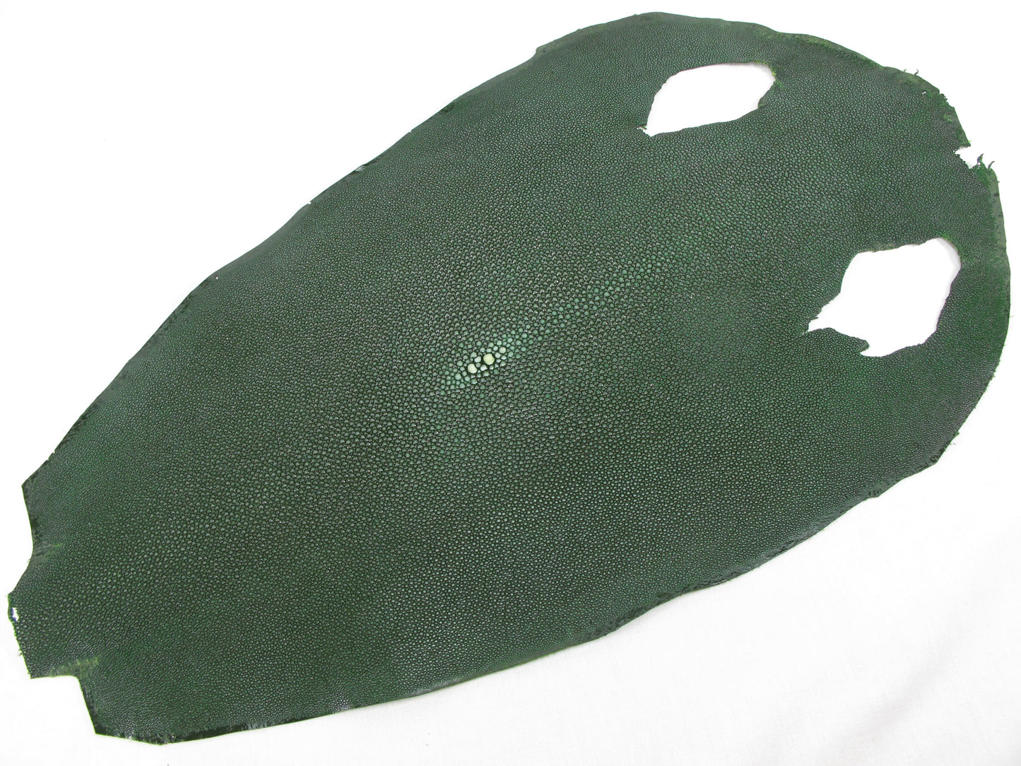 Genuine Polished Stingray Skin Leather Round Shape Hide Pelt Green