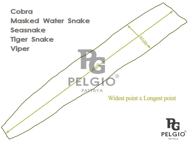 Genuine Tiger Snake Skin Leather Hide Pelt