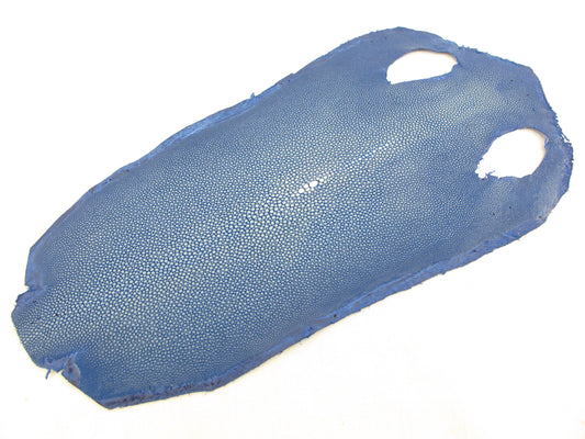 Genuine Polished Stingray Skin Leather Hide Pelt Long Shape Blue