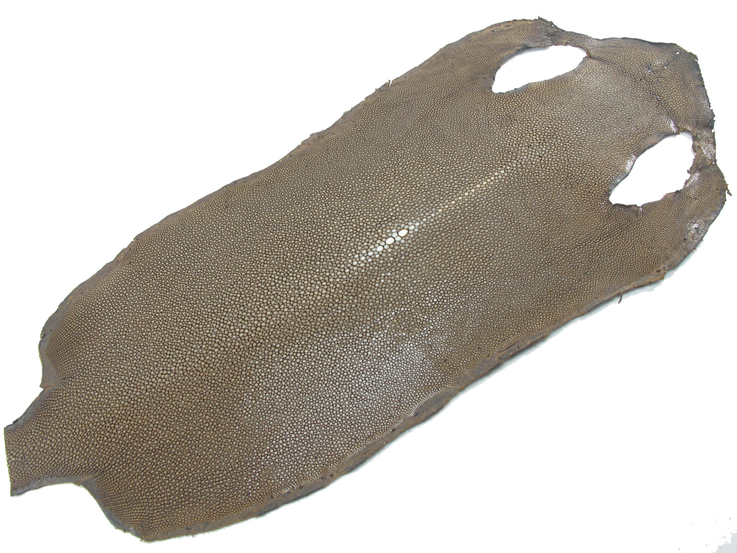 Genuine Polished Stingray Skin Leather Hide Pelt Long Shape Brown