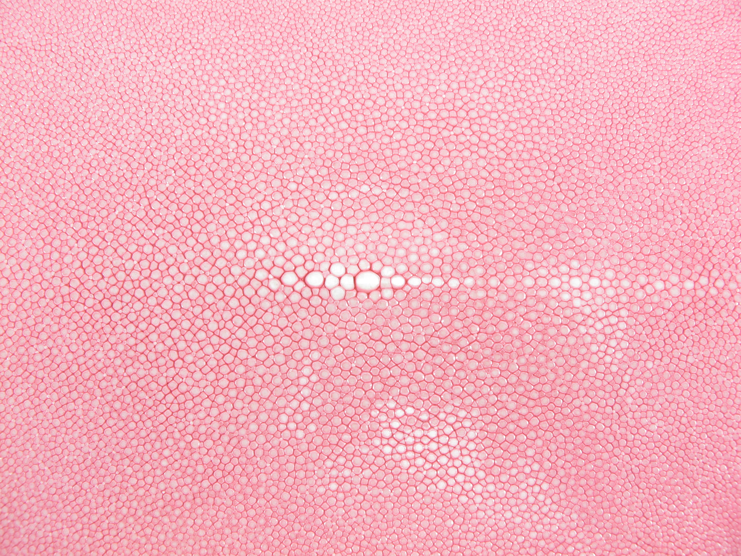 Genuine Polished Stingray Skin Leather Hide Pelt Long Shape Pink