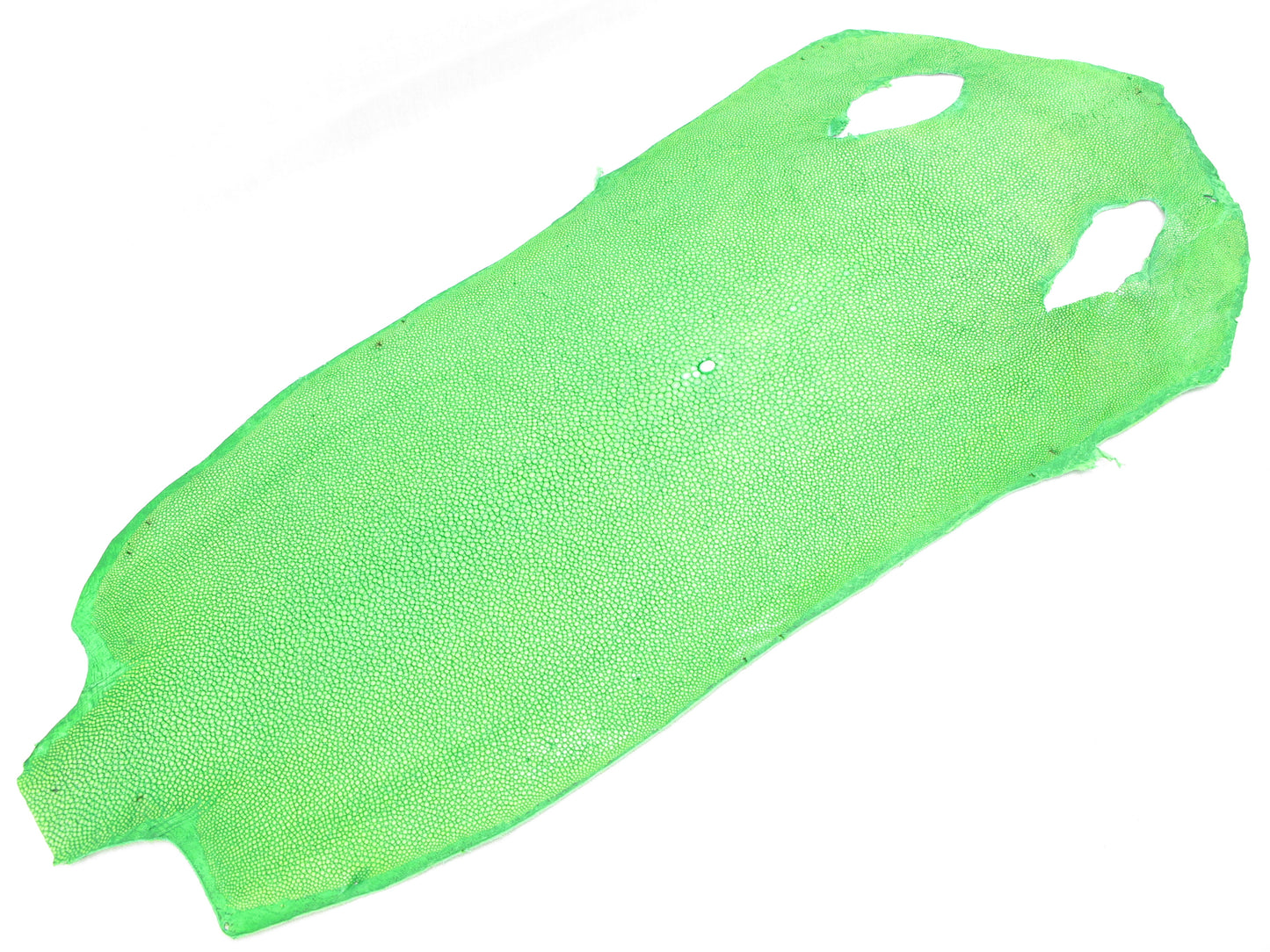 Genuine Polished Stingray Skin Leather Hide Pelt Long Shape Green