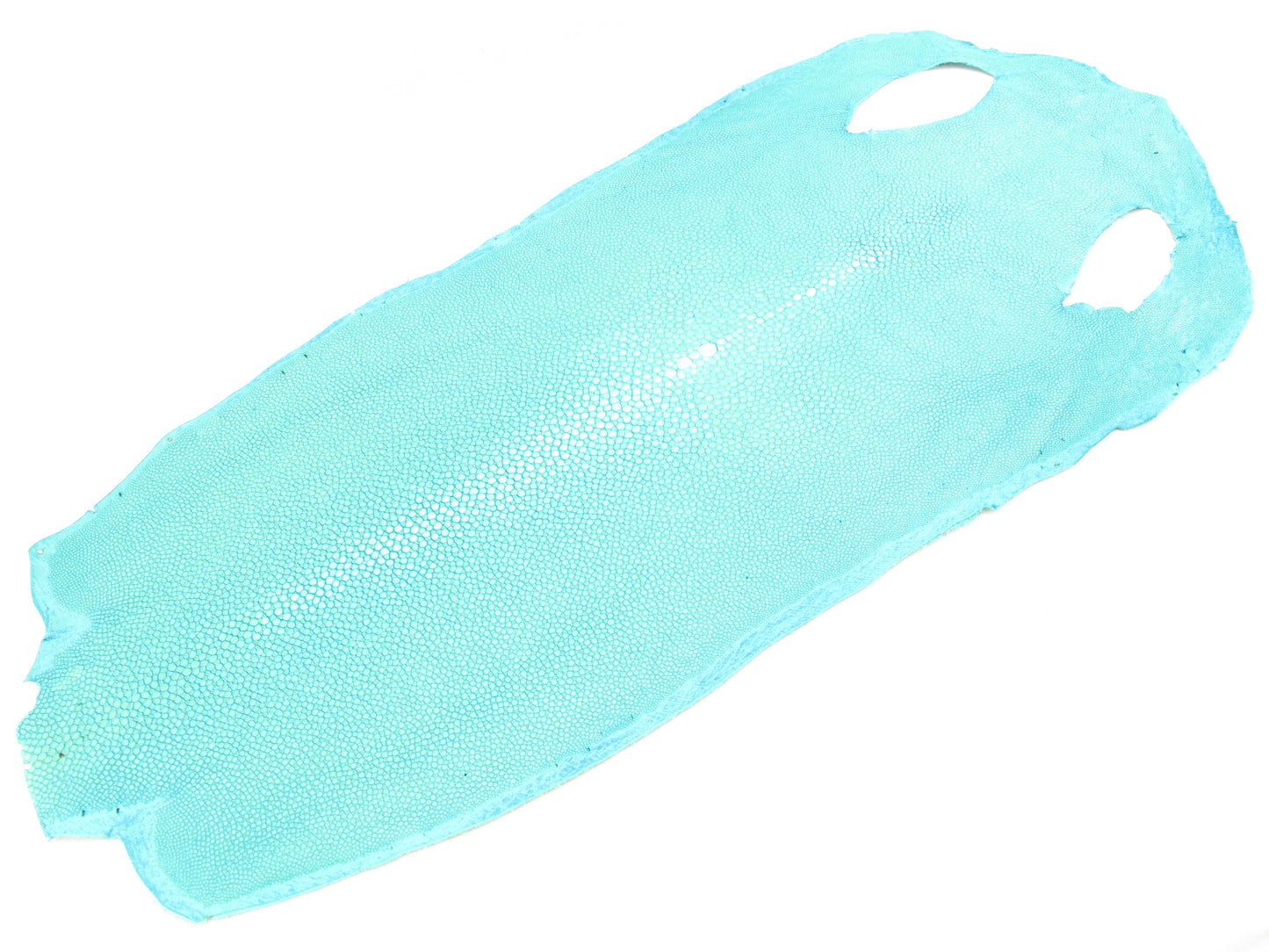 Genuine Polished Stingray Skin Leather Hide Pelt Long Shape Blue