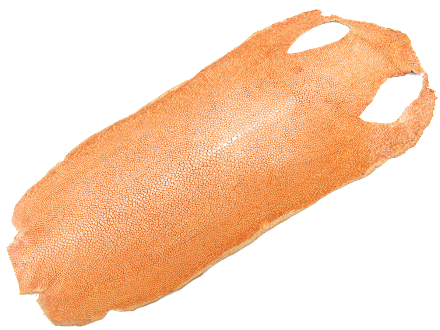 Genuine Polished Stingray Skin Leather Hide Pelt Long Shape Orange