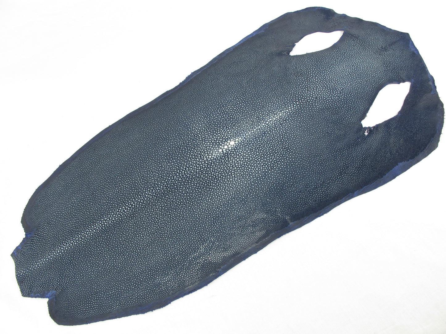 Genuine Polished Stingray Skin Leather Hide Pelt Long Shape Blue