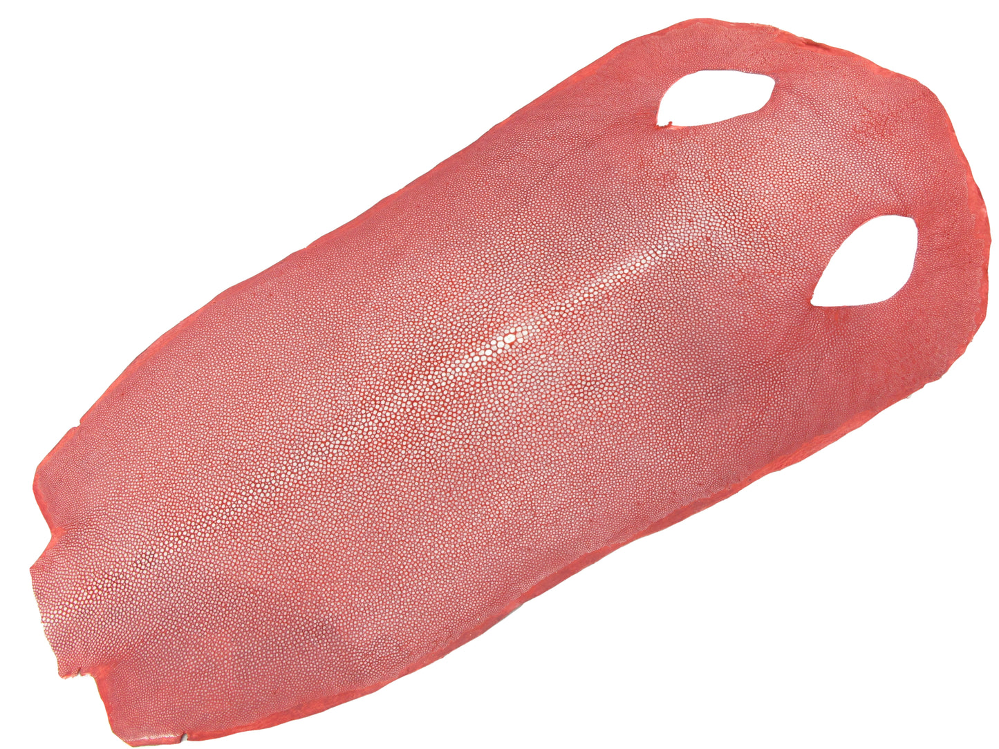 Genuine Polished Stingray Skin Leather Hide Pelt Long Shape Red