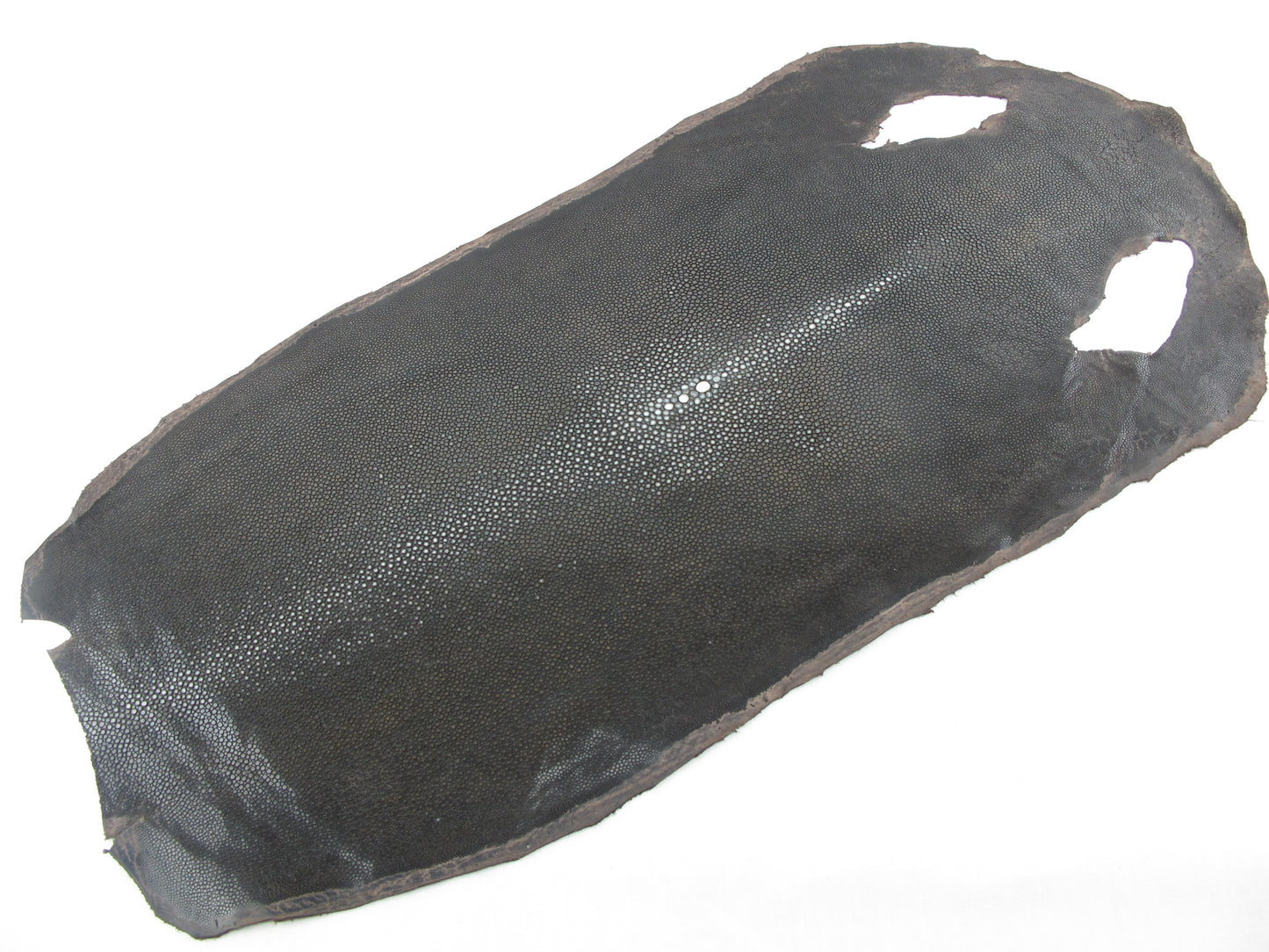 Genuine Polished Stingray Skin Leather Hide Pelt Long Shape Brown