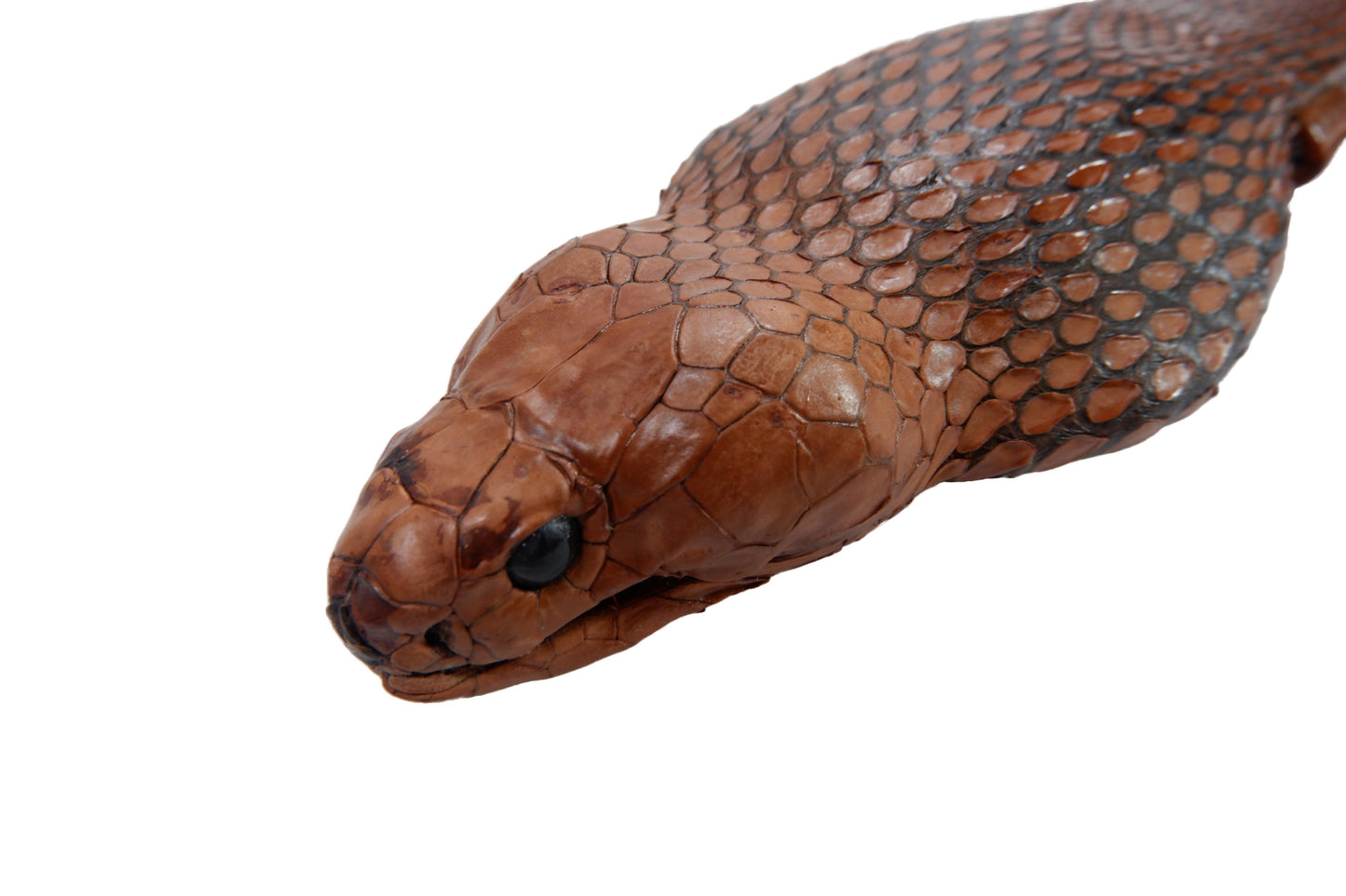 Genuine Cobra Snake Skin with Head Leather Dress Belt