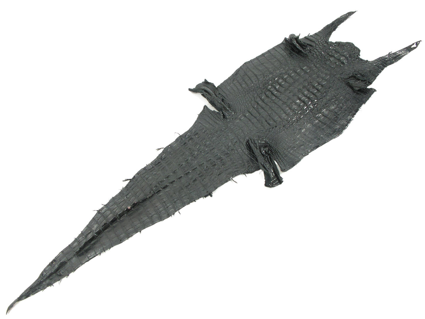 Genuine Caiman Crocodile Hornback Skin Leather Hide Pelt