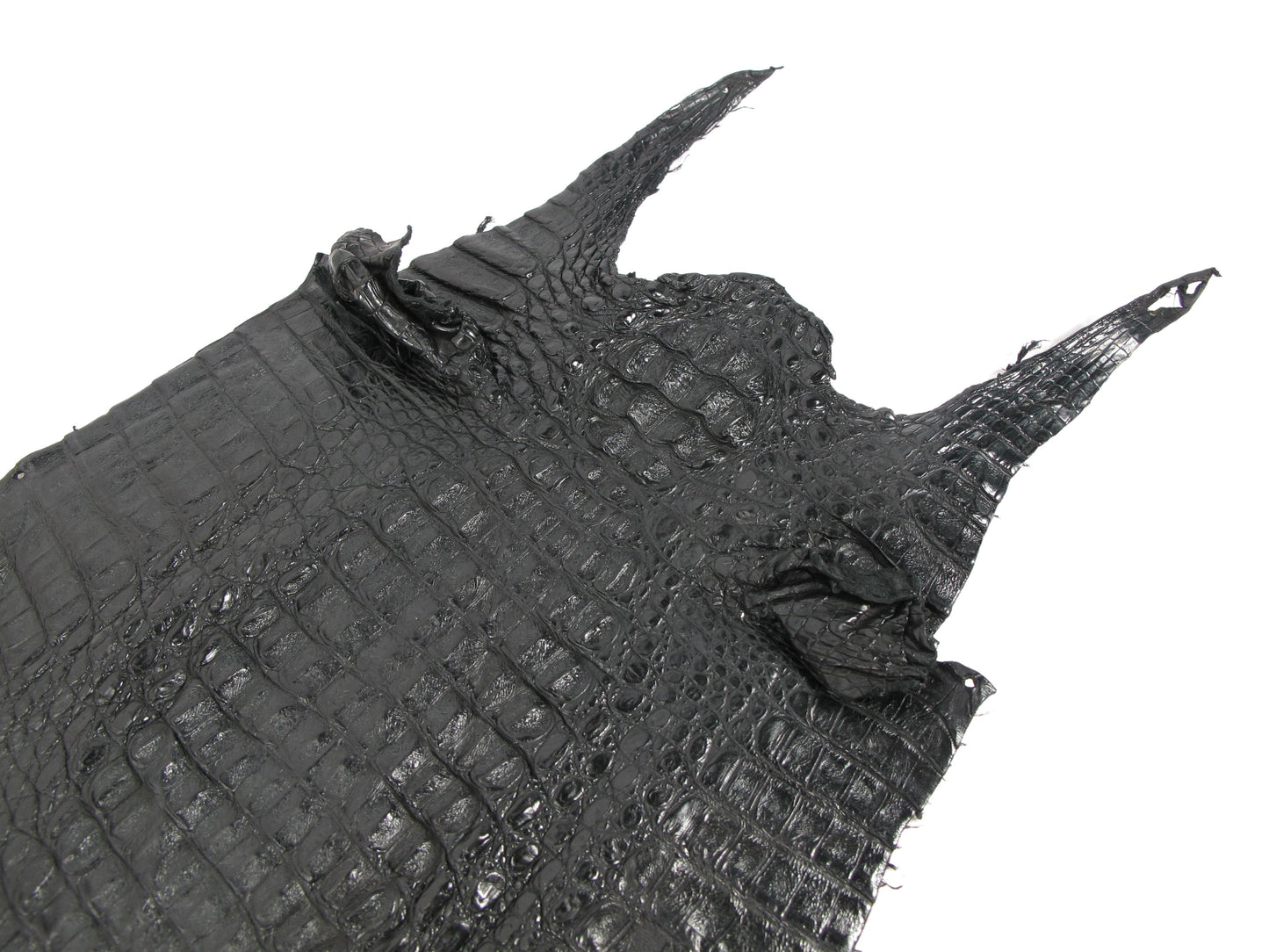 Genuine Caiman Crocodile Hornback Skin Leather Hide Pelt