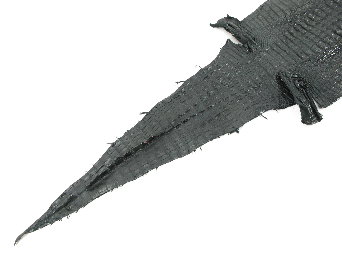 Genuine Caiman Crocodile Hornback Skin Leather Hide Pelt