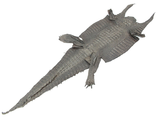 Genuine Caiman Crocodile Hornback Skin Leather Hide Pelt