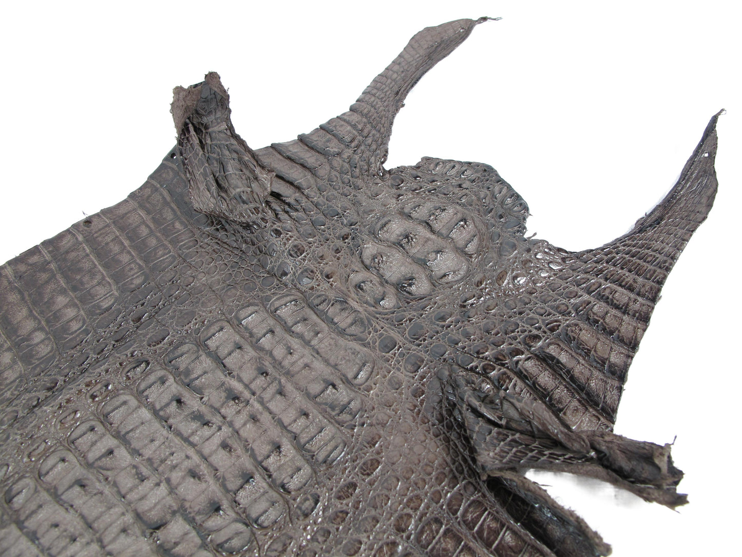 Genuine Caiman Crocodile Hornback Skin Leather Hide Pelt