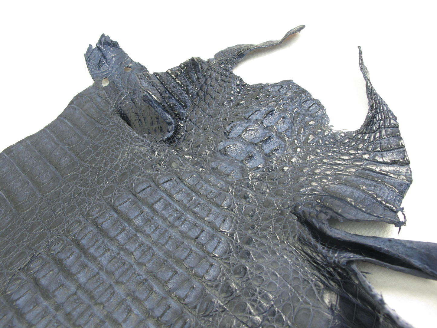 Genuine Caiman Crocodile Hornback Skin Leather Hide Pelt