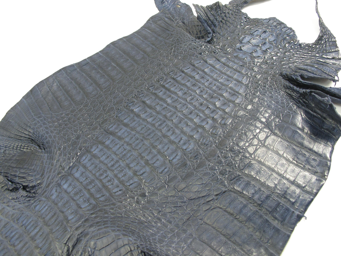 Genuine Caiman Crocodile Hornback Skin Leather Hide Pelt
