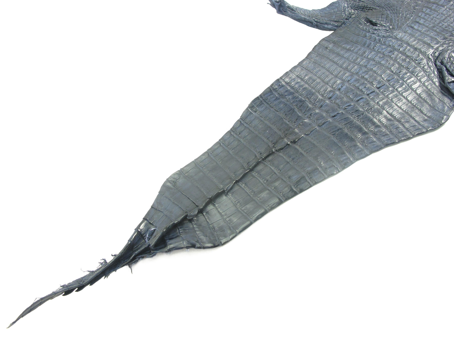 Genuine Caiman Crocodile Hornback Skin Leather Hide Pelt