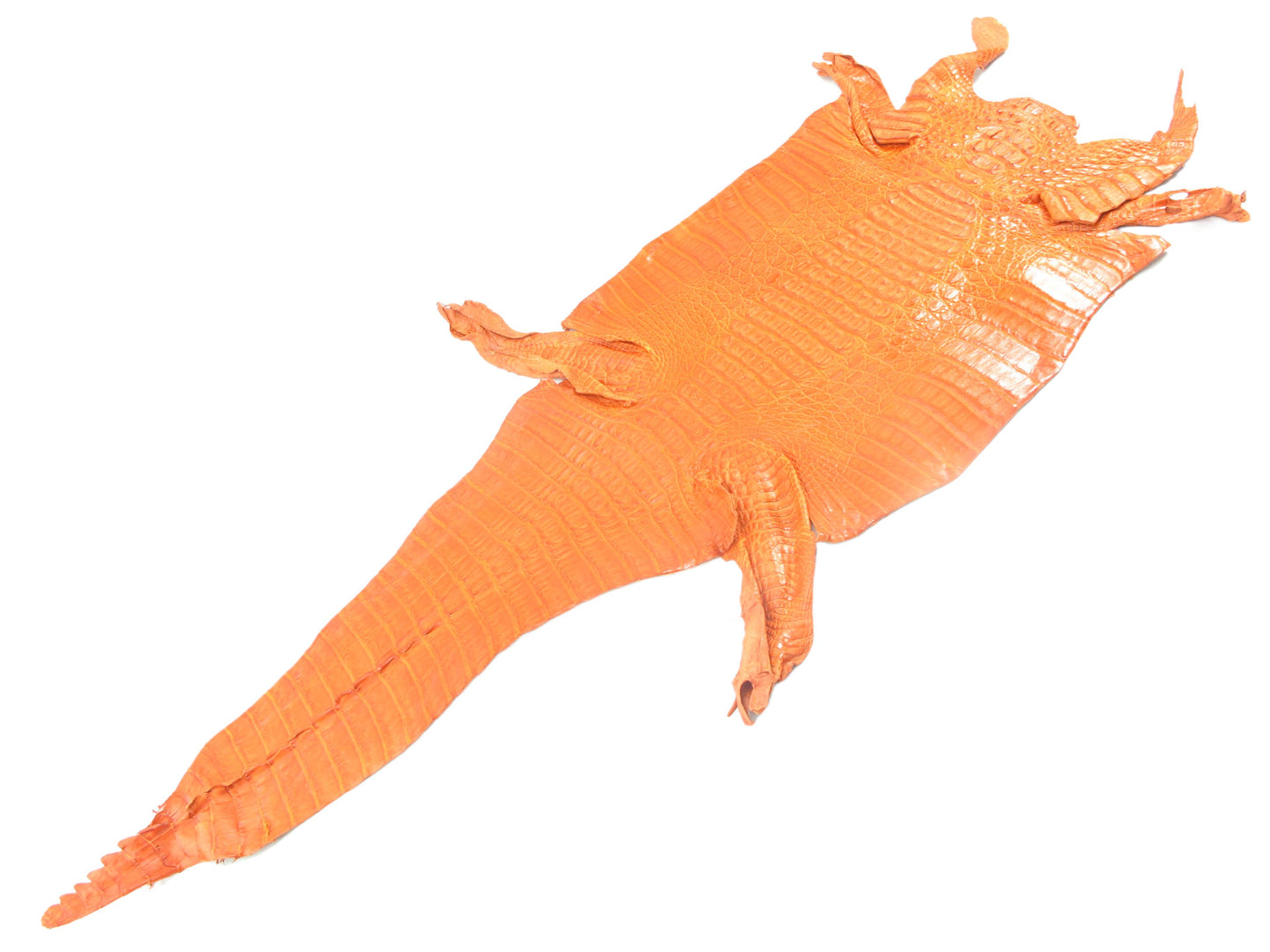 Genuine Caiman Crocodile Hornback Skin Leather Hide Pelt