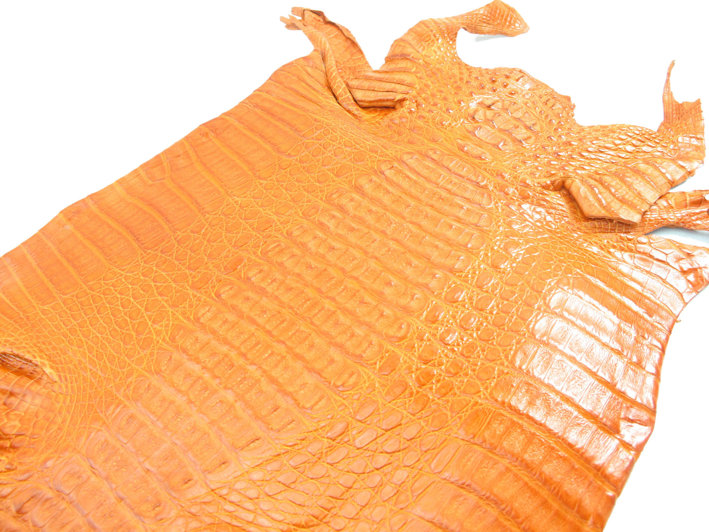 Genuine Caiman Crocodile Hornback Skin Leather Hide Pelt