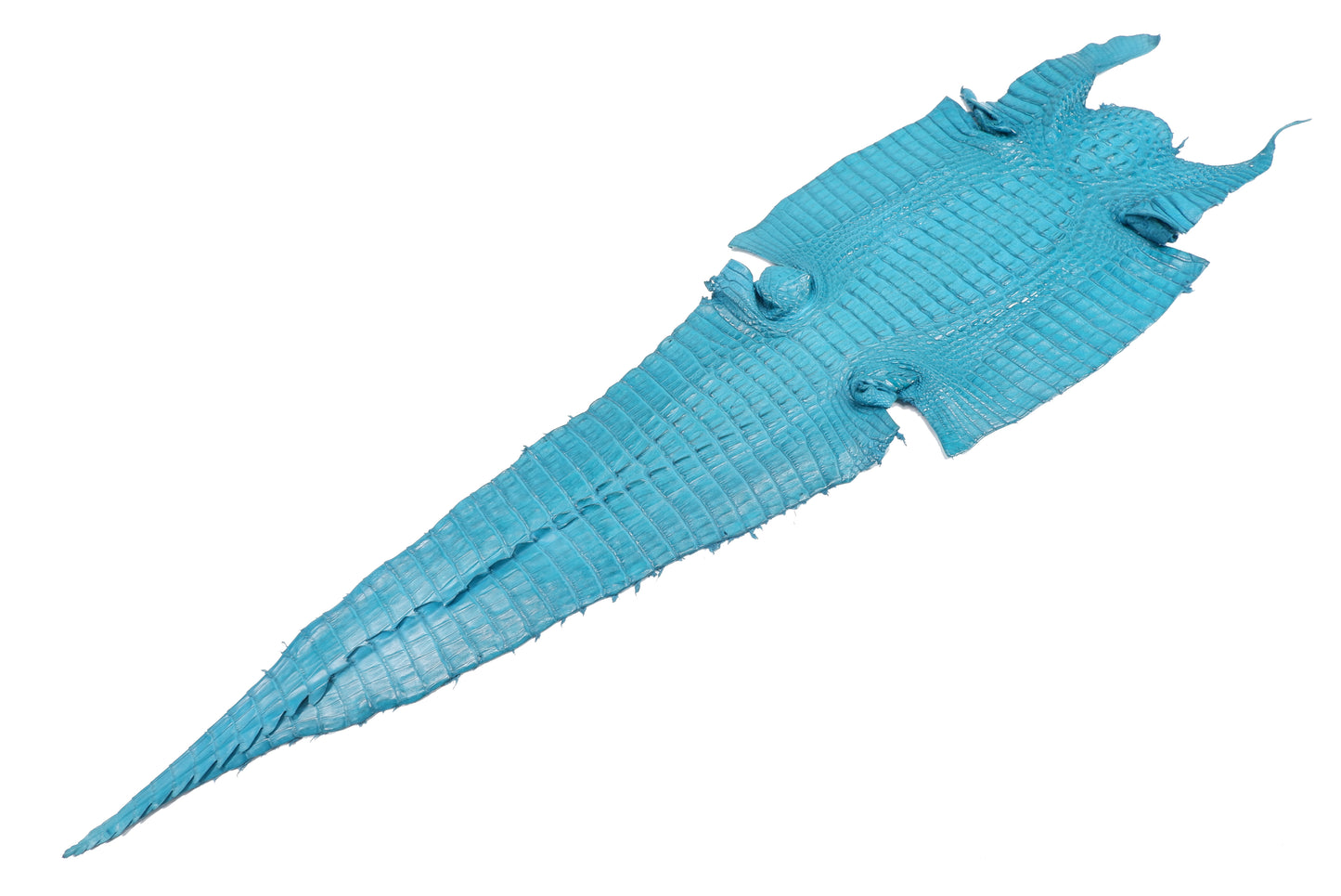 Genuine Caiman Crocodile Hornback Skin Leather Hide Pelt