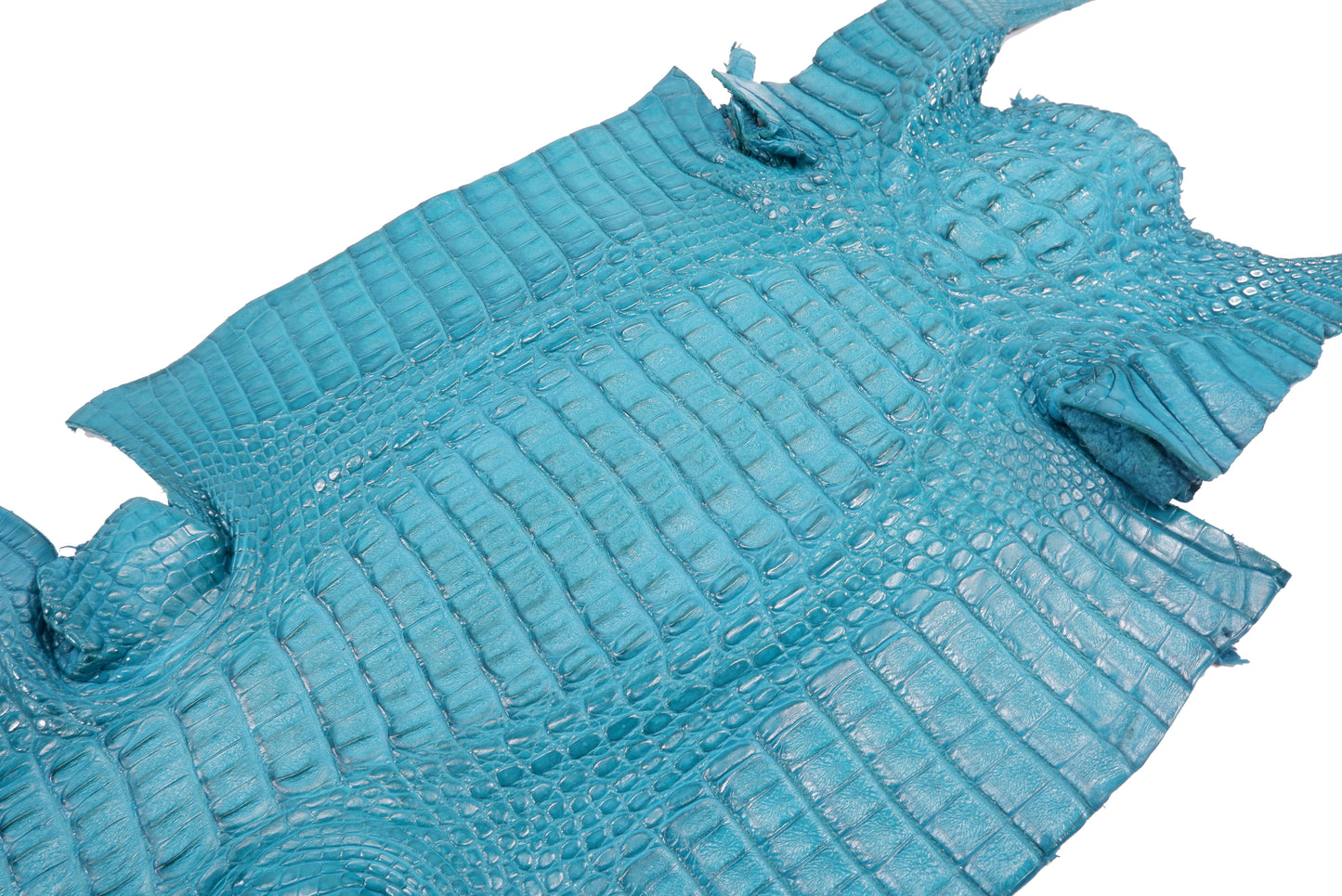 Genuine Caiman Crocodile Hornback Skin Leather Hide Pelt
