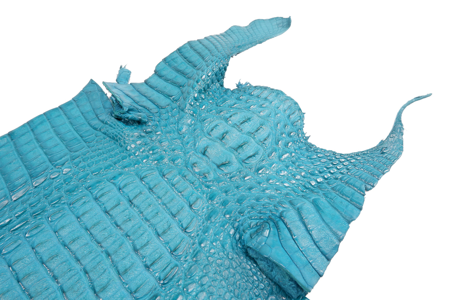 Genuine Caiman Crocodile Hornback Skin Leather Hide Pelt