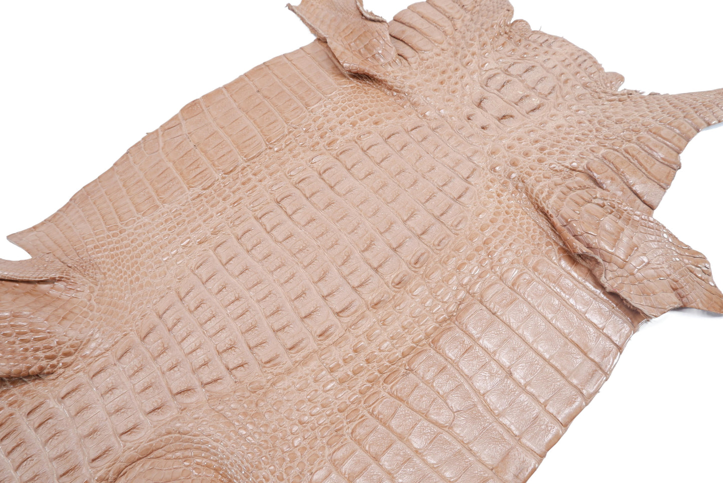 Genuine Caiman Crocodile Hornback Skin Leather Hide Pelt