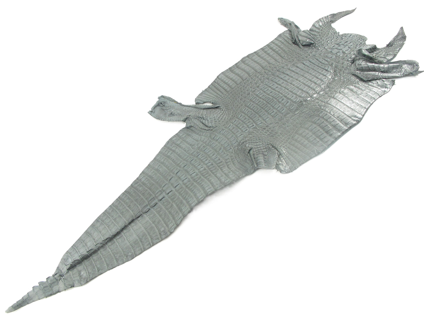 Genuine Caiman Crocodile Hornback Skin Leather Hide Pelt